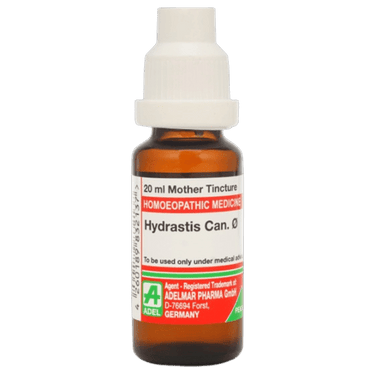 https://cdn.shopify.com/s/files/1/1857/6931/files/hydrastis_can-removebg-preview-643751.png?v=1736143319